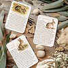 Homeschool Resource Co. - Bunny Themed Educational Cards Bunny themed educational cards for homeschooling, featuring facts about rabbits, pregnancy, and juvenile development. Perfect for teaching children about animals and nature in a fun, engaging way.