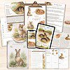 Rabbit Educational Resources for Homeschooling Rabbit educational resources for homeschooling, including worksheets, flashcards, and informational printables to teach children about rabbits' life cycle, habitat, and care.