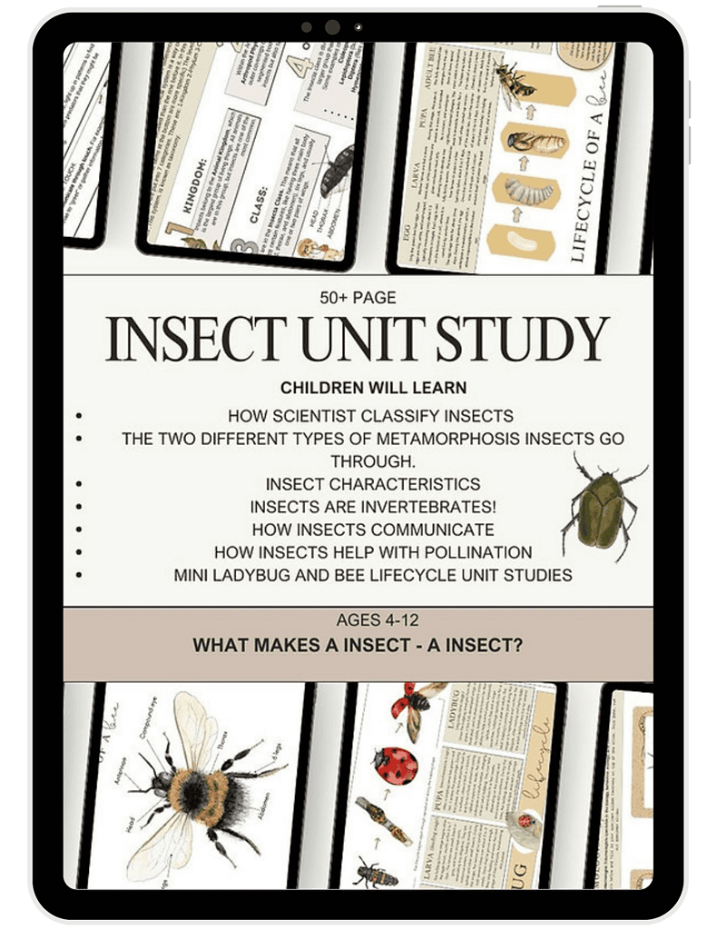 Educational insect unit study for children ages 4-12, featuring detailed pages on insect characteristics, lifecycle, and pollination, ideal for homeschooling science curriculum.