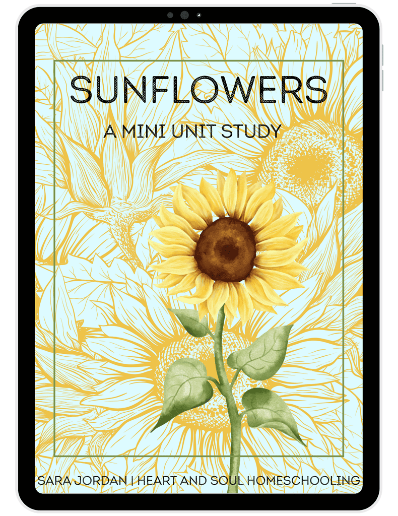 Bright yellow sunflower illustration on a tablet screen promoting a homeschool mini unit study about sunflowers, ideal for homeschooling resources and educational activities.