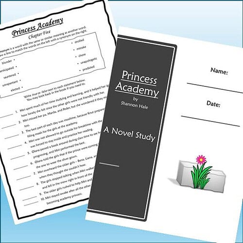 Homeschool resource materials including a Princess Academy book cover and study worksheet for homeschooling students.