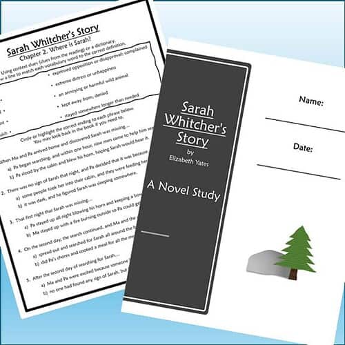 Cover of 'Sarah Whitcher's Story' by Elizabeth Yates, featuring a black chalkboard-style title page with a small illustration of a pine tree.