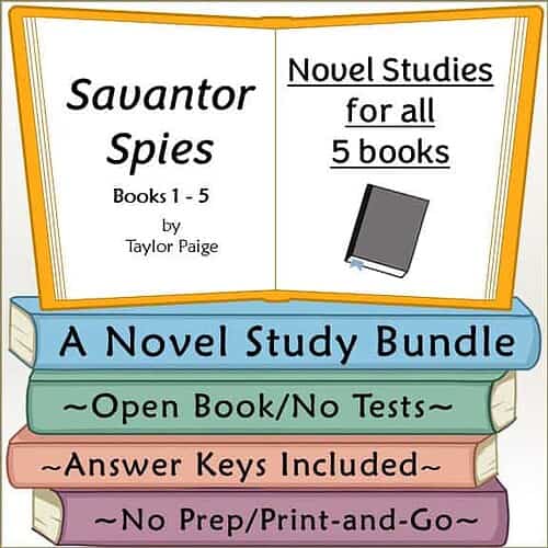 Colorful stack of homeschool books with a focus on novel studies, open book, answer keys, and no prep print-and-go materials for homeschooling.