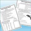 Slide2 Educational worksheet on Island of the Blue Dolphins with dolphin illustration, focusing on reading comprehension and vocabulary for homeschool learning.