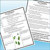 Slide2 Pages from 'The Wild Robot' and 'The Wild Robot' study guide with summaries and discussion questions for homeschooling.