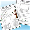 Slide2 The Witch of Blackbird Pond Novel Study
