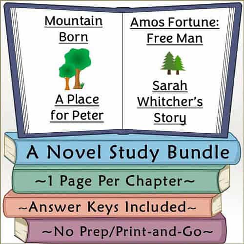 Book cover for a homeschool study bundle featuring a novel with chapters titled 'Mountain Born' and 'Amos Fortune: Free Man' with illustrations of trees and a mountain.