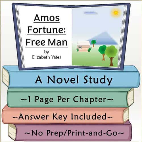 Book cover for 'Amos Fortune: Free Man' by Elizabeth Yates, featuring a simple illustration of a house, trees, and mountains under a sunny sky.