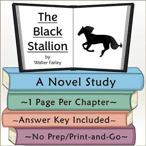 The Black Stallion Novel Study