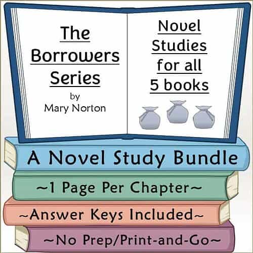 Illustration of a book bundle titled 'A Novel Study Bundle' with series and study details for homeschool learning.