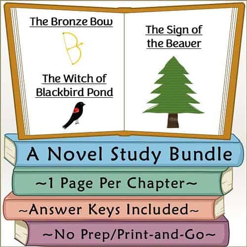 Slide261 Elizabeth George Speare Novel Study Bundle