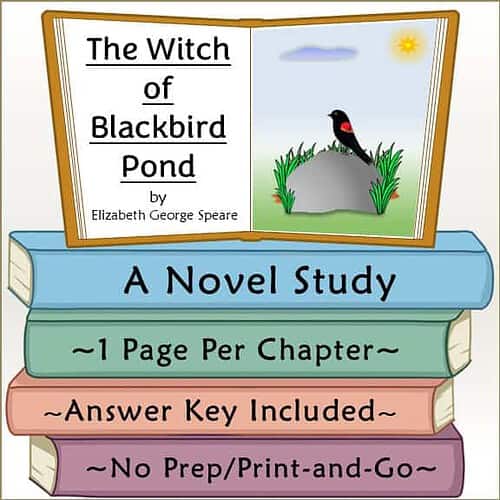 The Witch of Blackbird Pond Novel Study