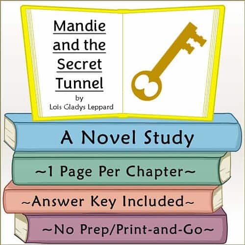 Cover image of Mandie and the Secret Tunnel, a children's novel by Lois Gladys Leppard, featuring a key and colorful stacked books.