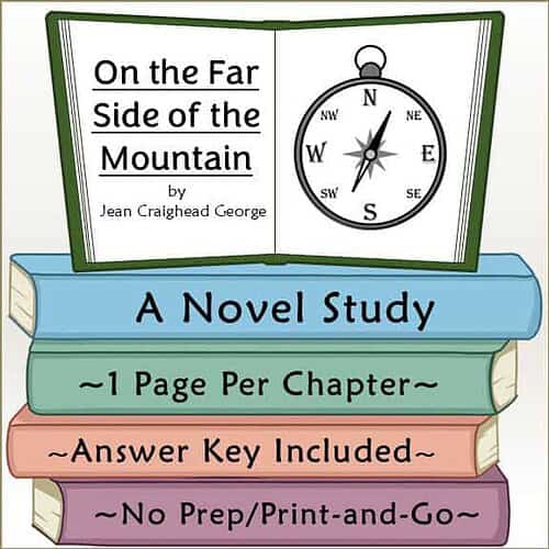 On the Far Side of the Mountain Novel Study