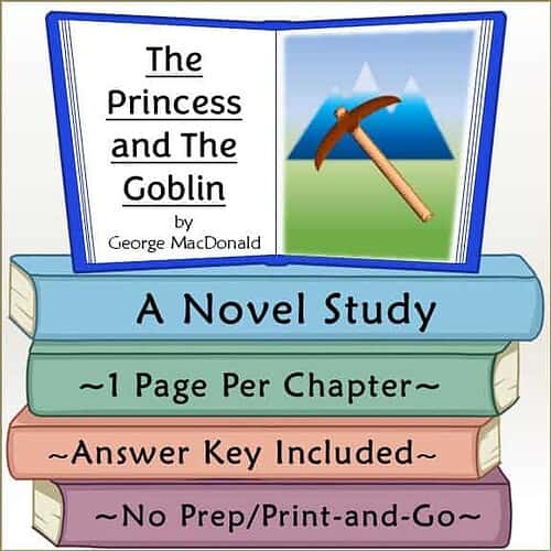 Book cover of 'The Princess and The Goblin' by George MacDonald, featuring a pickaxe and mountain background, for homeschooling educational resources.