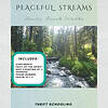 Untitled design (97) Peaceful Streams Daily Seatwork