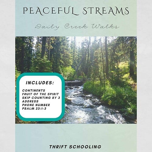 Untitled design (97) Peaceful Streams Daily Seatwork