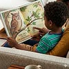 Young child and parent reading a colorful children's book about owls and grasshoppers together on a cozy sofa.