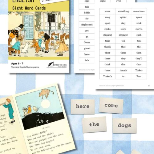 Educational sight word cards for homeschooling, featuring common words like 'here', 'come', 'the', 'dogs', 'your', and 'and' for early reading practice.