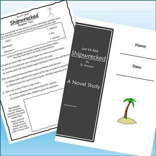 Homeschool resource materials including a novel study worksheet and a blackboard with the title 'Shipwrecked' by D. Stewart for homeschooling activities.