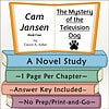 Homeschool Resource Co. Book Cover Book cover for 'The Mystery of the Television Dog' by Cam Jansen, featuring colorful stacked books and a title card.