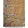Libyan Rock Art from Tadrart Acacus Ancient Libyan rock art depicting a giraffe on a sandstone wall in Tadrart Acacus, showcasing prehistoric petroglyphs.