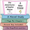Children's educational book titled 'The Adventures of Sophie Mouse' by Poppy Green, featuring colorful illustrations and a stack of books with study notes.