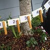 WhatsApp Image 2024-02-24 at 16.29.19 Colorful numbered clothespins attached to a string in a garden setting for educational activities.