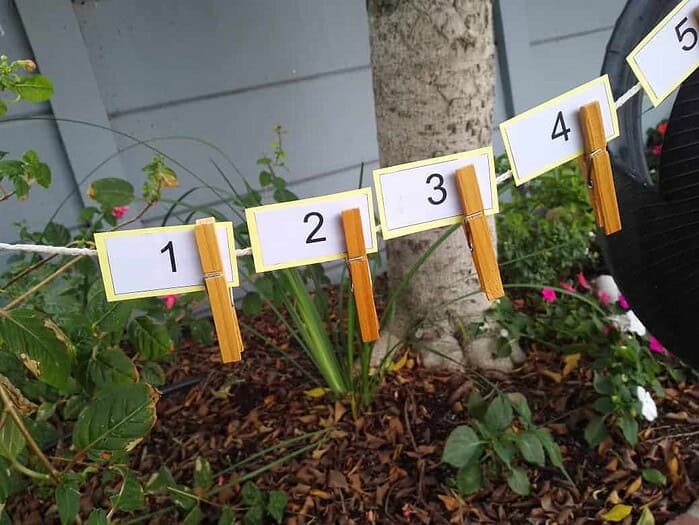 WhatsApp Image 2024-02-24 at 16.29.19 Colorful numbered clothespins attached to a string in a garden setting for educational activities.