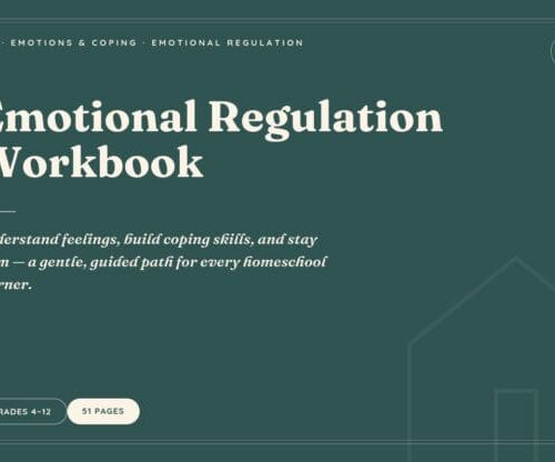 Cover image of the Emotional Regulation Workbook for homeschool learners, designed to help build coping skills and emotional stability.