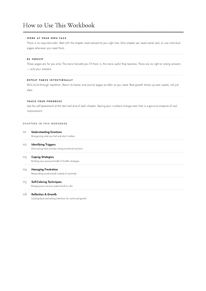 page-03 Homeschool Resource Co. workbook cover with chapters on understanding emotions, identifying triggers, coping strategies, managing frustration, self-calming techniques, and reflection for homeschoolers.