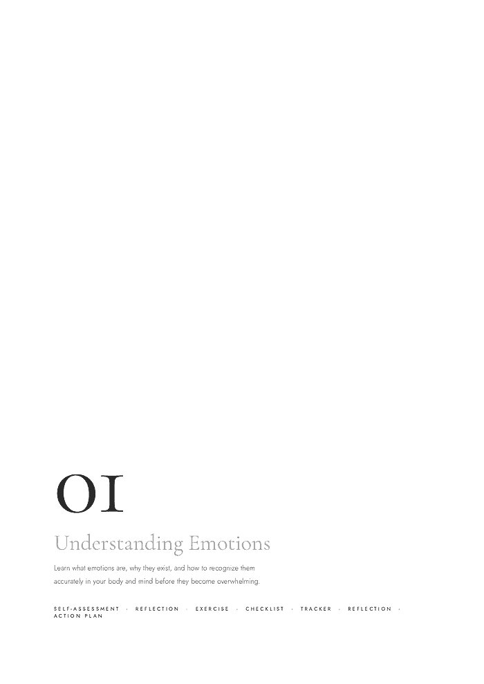 page-04 Illustration of the 'OI' emotion, representing understanding emotions, with keywords like self-assessment, reflection, exercise, and action plan.
