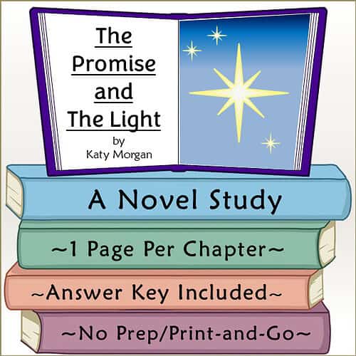 The Promise and The Light Novel Study A Christmas Retelling