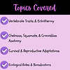 3 - Topics Covered - Reptiles Reading Passage, Q & A, and Note-Taking Sheets 2-2-Whats-Included-Reptiles-Reading-Passage-Q-A-and-Note-Taking-Sheets.jpg