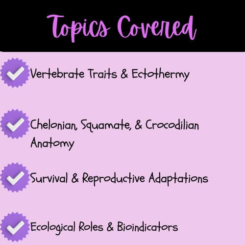 3 - Topics Covered - Reptiles Reading Passage, Q & A, and Note-Taking Sheets 2-2-Whats-Included-Reptiles-Reading-Passage-Q-A-and-Note-Taking-Sheets.jpg