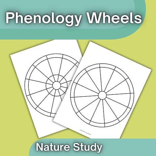 TPT covers Phenology Wheels for nature study and homeschooling, featuring circular diagrams for tracking seasonal changes.