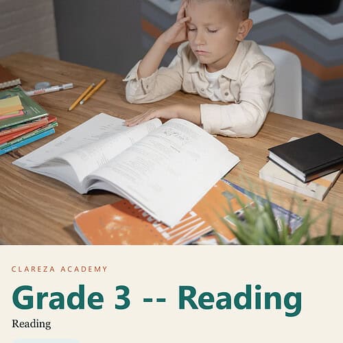 clareza-grade3-reading.jpg Young boy studying at a desk with open books, looking frustrated or tired, in a home or classroom setting.