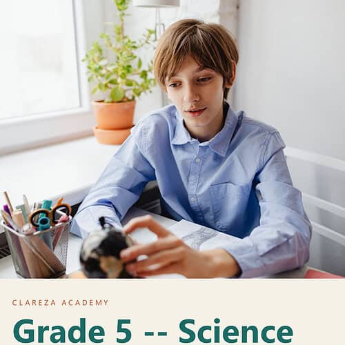 Young boy studying science at home with a science kit, in a bright, well-lit room.