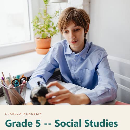 Young boy studying social studies at home with a focused expression, using a tablet, in a bright room with a potted plant nearby.