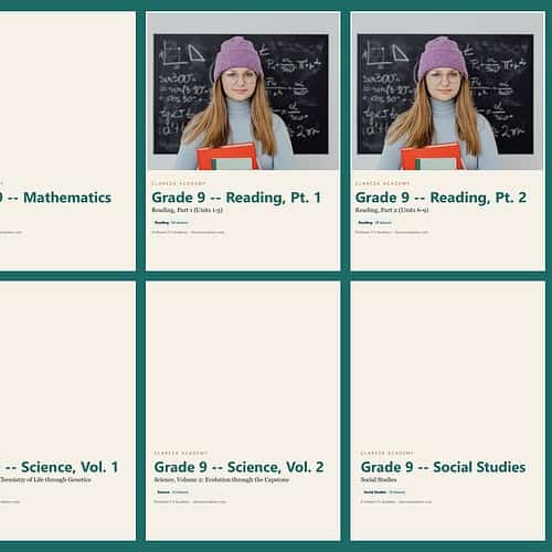 Collection of Grade 9 homeschool textbooks including Mathematics, Reading, Science, and Social Studies for comprehensive grade-level education.