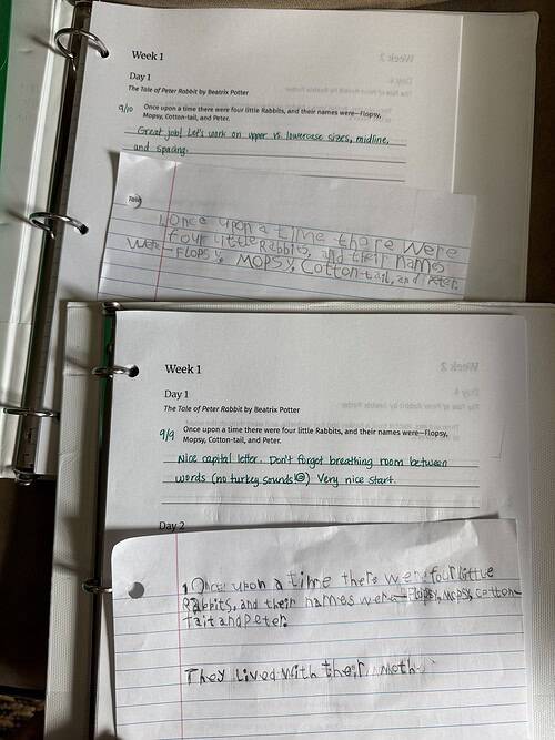 copywork example 2 Open homeschool notebook pages with handwritten stories about rabbits and their names, featuring colorful ink and lined paper.