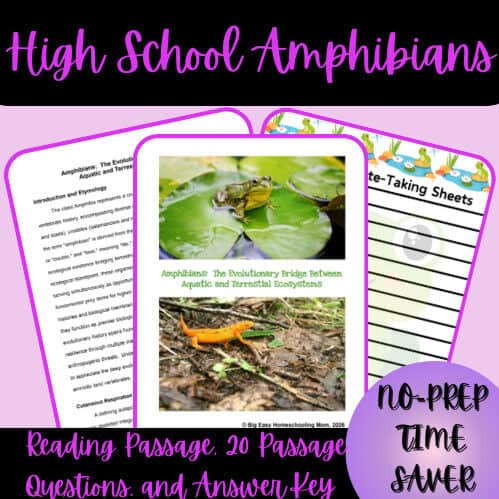 Educational homeschool resource featuring amphibian and reptile science sheets, including amphibian and reptile identification and answer keys.