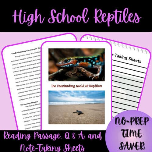cropped-1-Thumbnail-Cover-Reptiles-Reading-Passage-Q-A-and-Note-Taking-Sheets.jpg High School Reptiles Reading Passage, Q & A, and Note-Taking Sheets