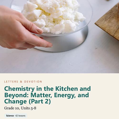 Homeschool science project showing a bowl of white, fluffy substance for chemistry experiments.
