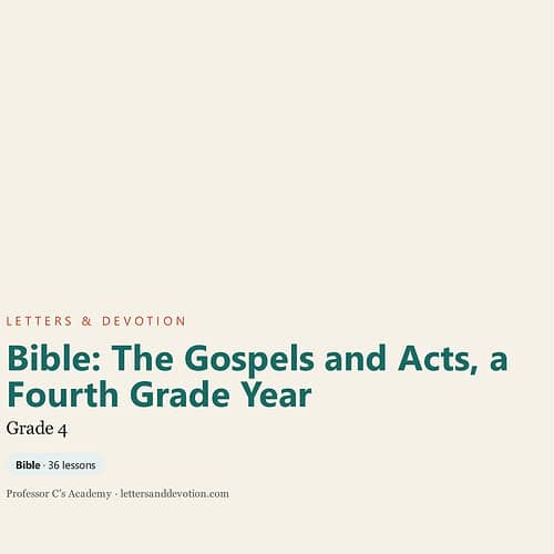 Cover of Bible study guide for fourth grade, focusing on Gospels and Acts, with a simple beige background and text.