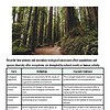 original-11562637-1.jpg Forest trail surrounded by tall trees and lush greenery, representing ecological succession and biodiversity.