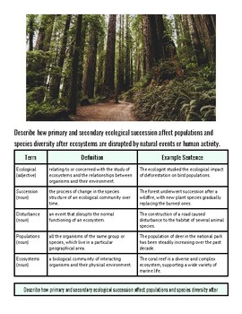 Forest trail surrounded by tall trees and lush greenery, representing ecological succession and biodiversity.