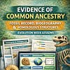 original-11567753-1.jpg Homeschool Resource Co. educational display featuring fossils, biogeography, and homologies for evolution lessons.