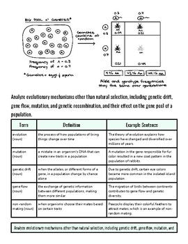 Diagram illustrating genetic and evolutionary mechanisms with examples and definitions for homeschool science lessons.