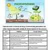 original-11569102-1.jpg Illustration of photosynthesis process showing sunlight, chloroplasts, and plant growth stages.